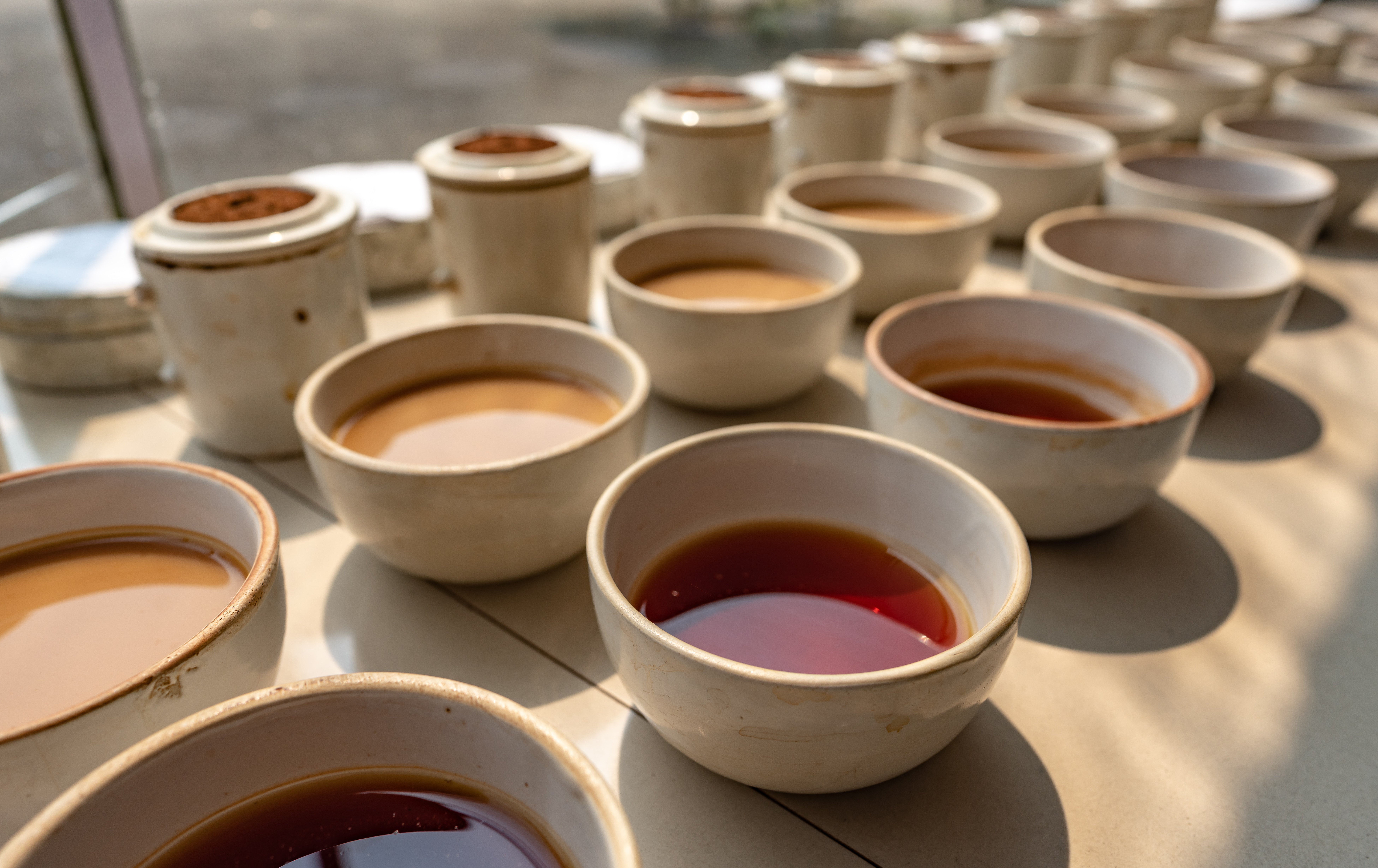 Unlocking the Secrets of Assam Tea: Exploring the Caffeine Content in Assam Teas