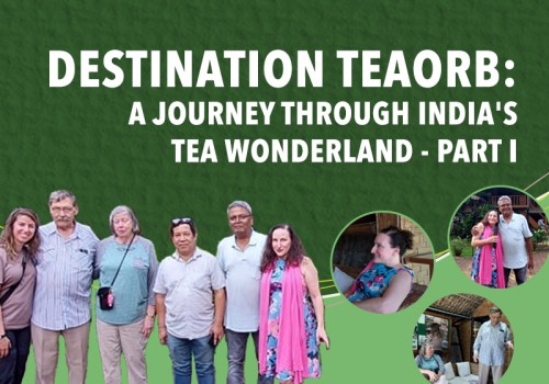 Destination TeaOrb: A Journey through India's Tea Wonderland - Part I
