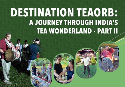 Destination TeaOrb: A Journey through India's Tea Wonderland - Part II