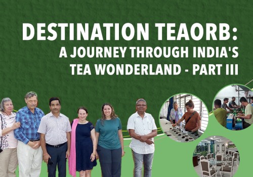 Destination TeaOrb: A Journey through India's Tea Wonderland - Part III